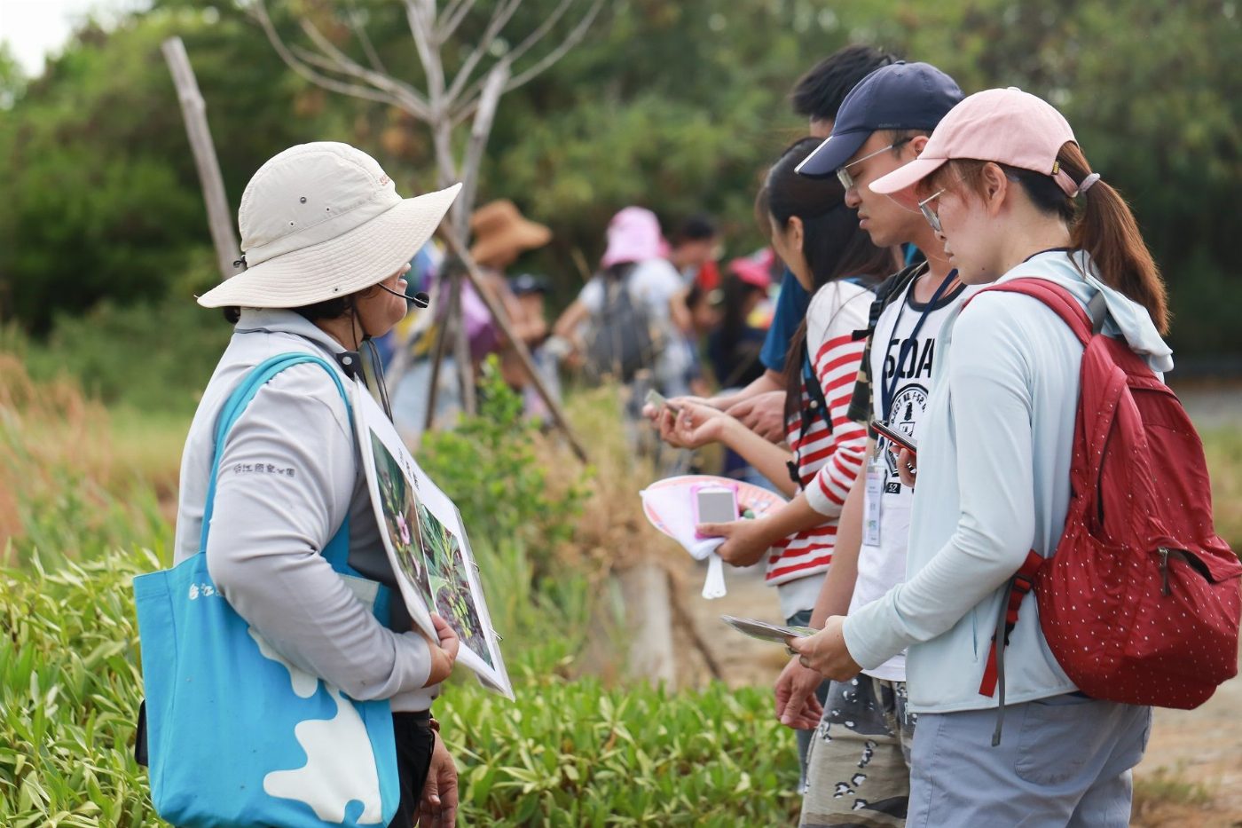 百年鹽場內的植物生態與鹽田體驗之旅