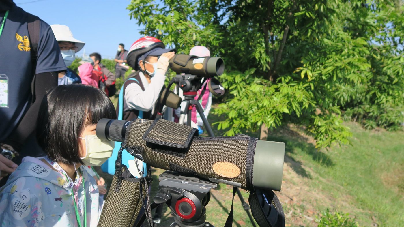 「單車賞鳥趣、慢遊山海圳」