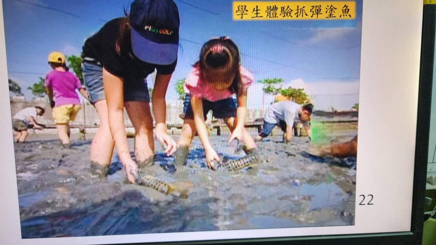 北門遊客中心於6月8日正式展出「海洋文化的生命之歌：彈塗魚之舞」攝影展