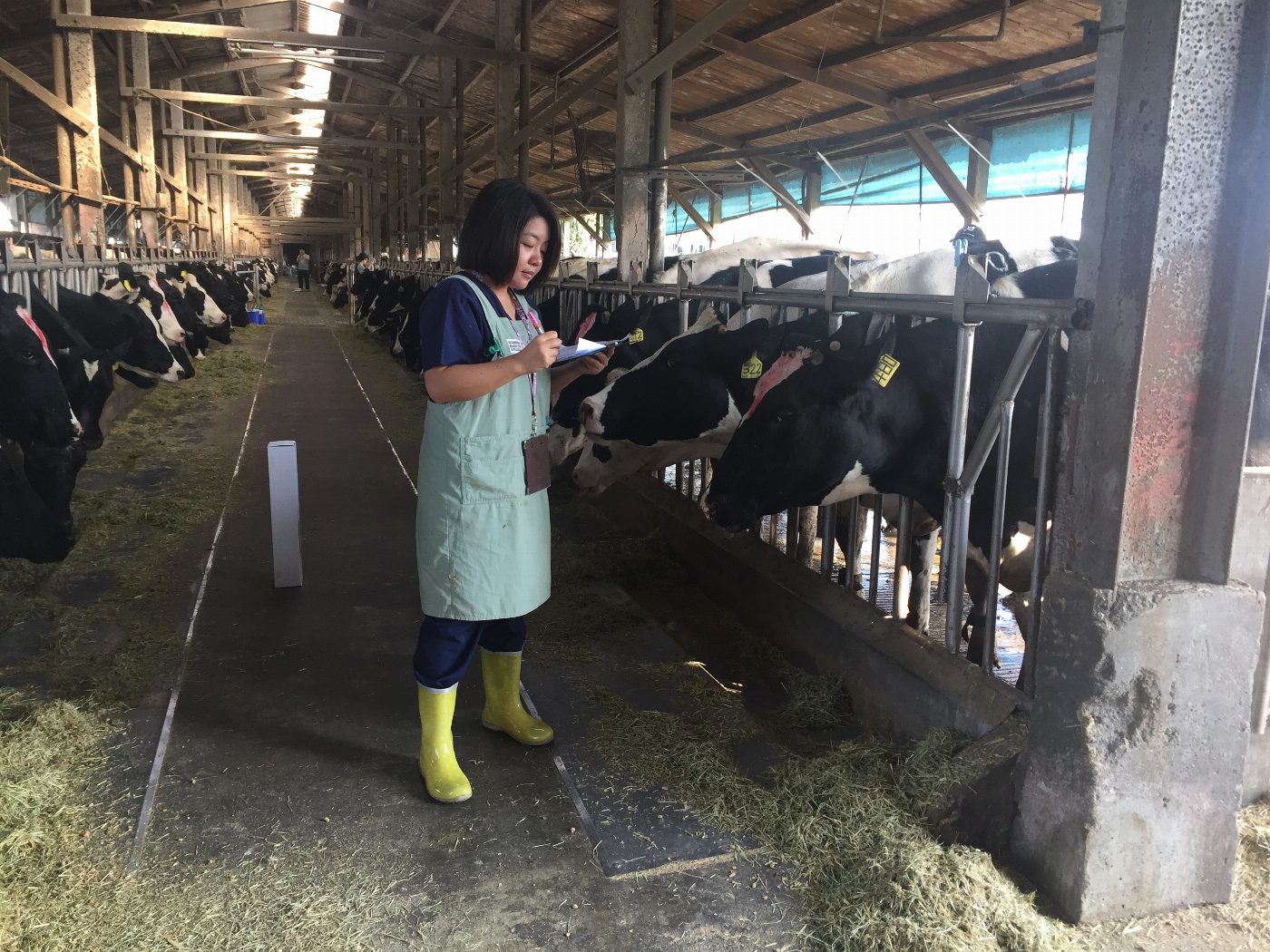 新版鮮乳標章上路 臺南市政府攜手酪農守護消費者權益