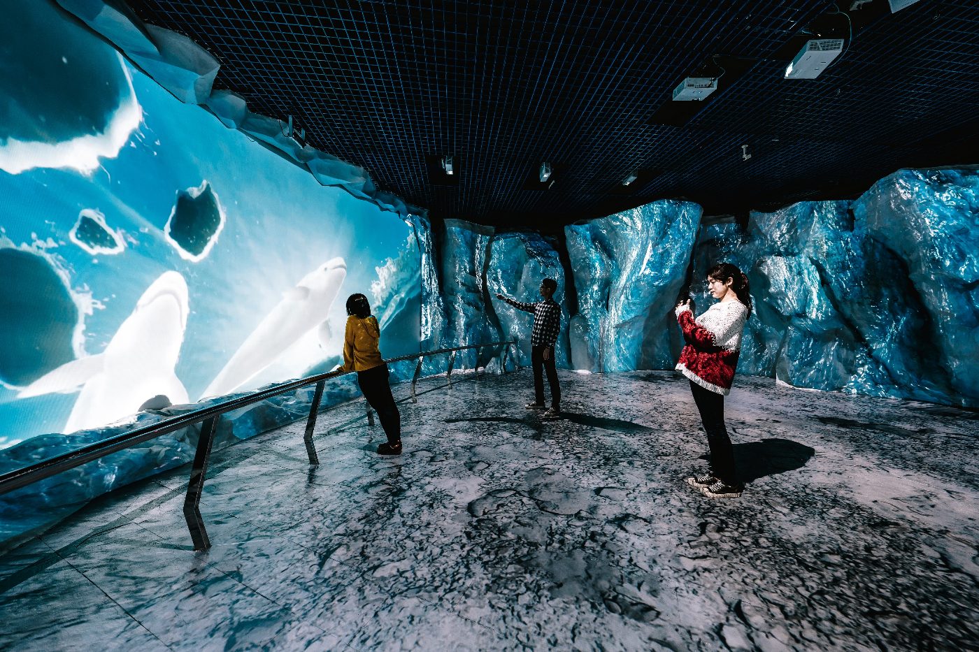 屏東海生館全新沉浸式展示「極境漫遊66.5度」驚艷登場 一窺極地世界
