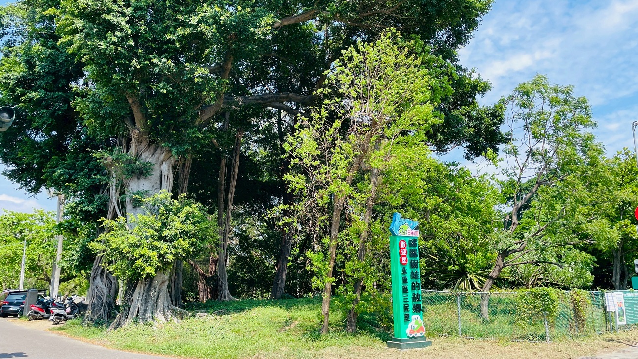 探索永康糖廠祕境！三崁店特開暑期專場導覽邀民眾共賞古蹟與生態美景