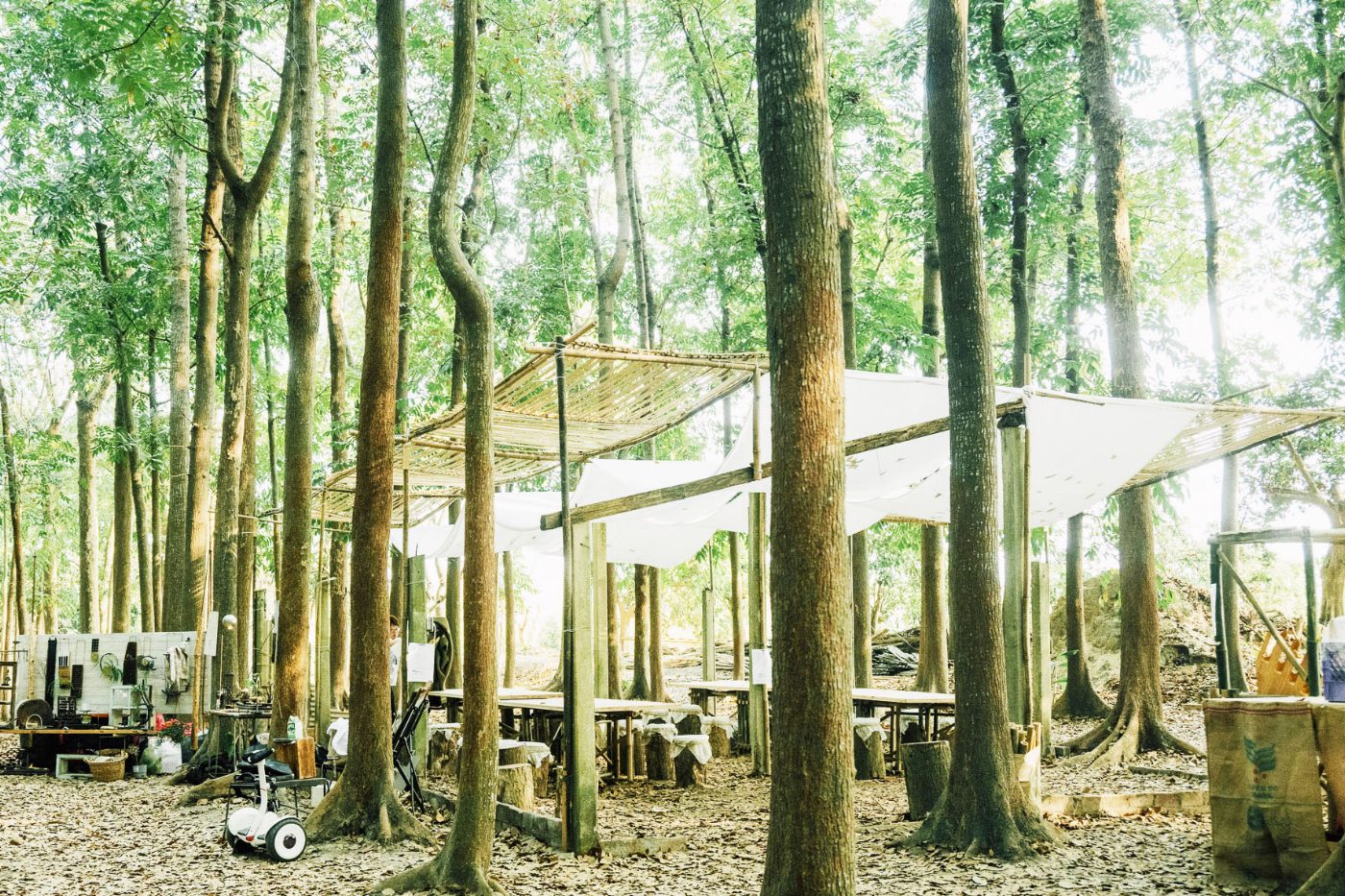 崑山科大空設系攜手灰熊綠展集構「竹」空間 裝置藝術轉譯地景生態