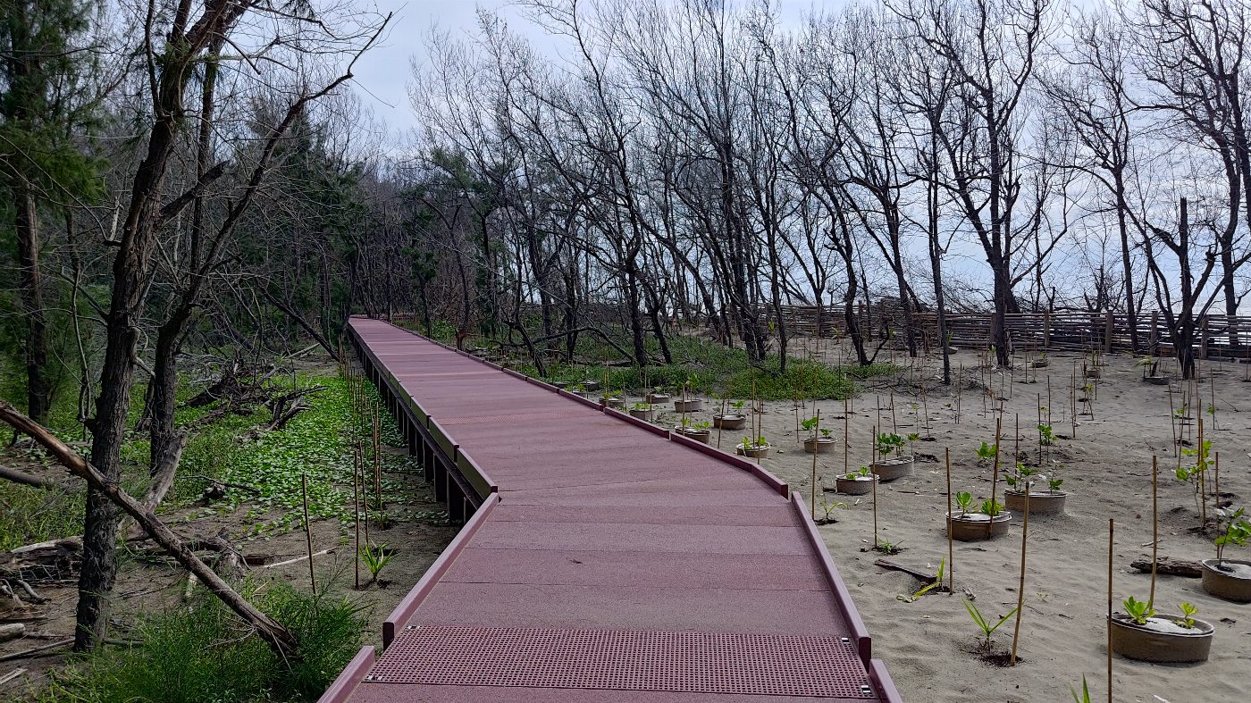 國家公園署台江處網仔寮汕環線步道全面開放