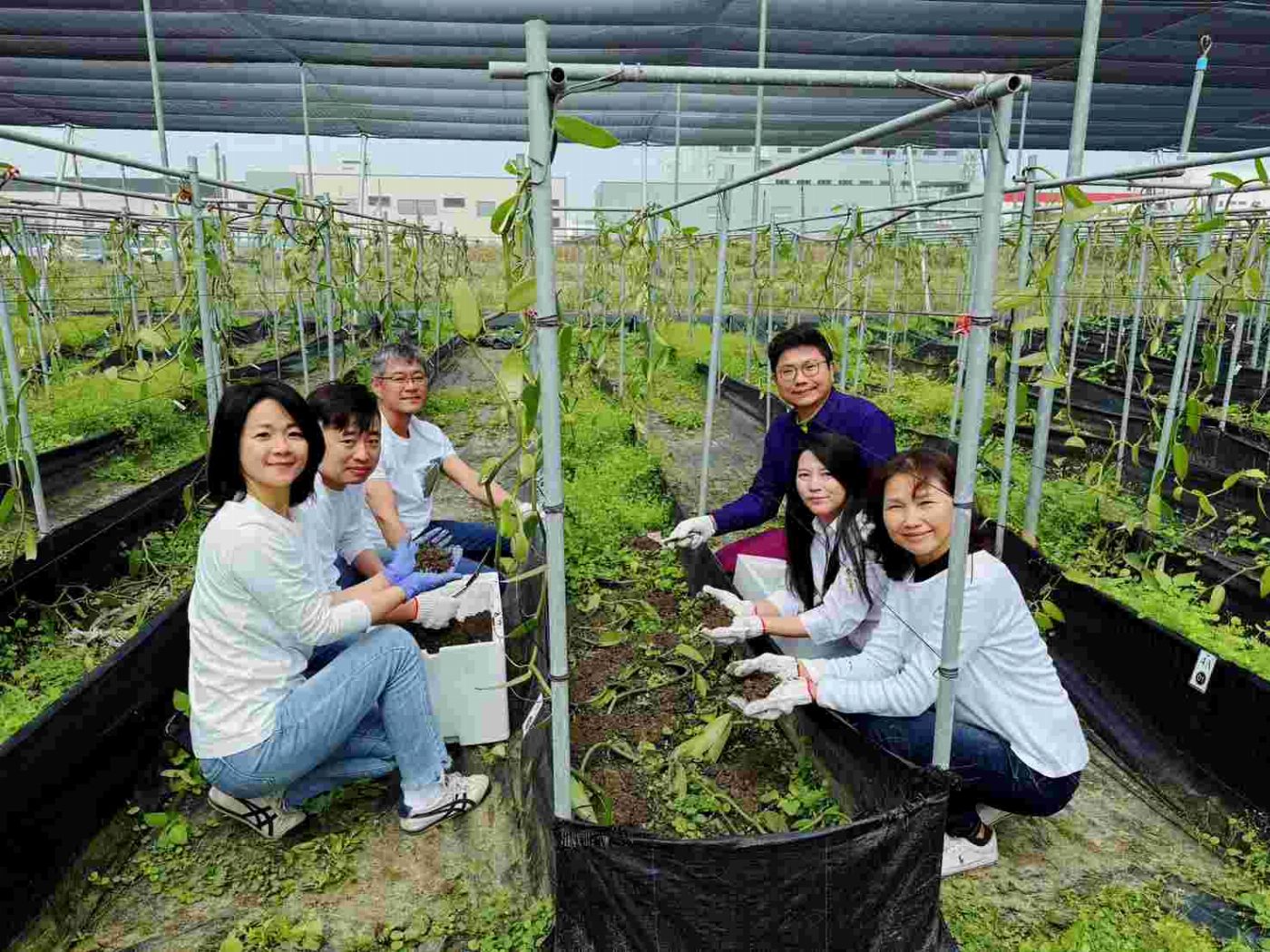 崑山科大企管所黃佳音助攻農業轉型 香莢蘭創業結合USR實踐永續經濟