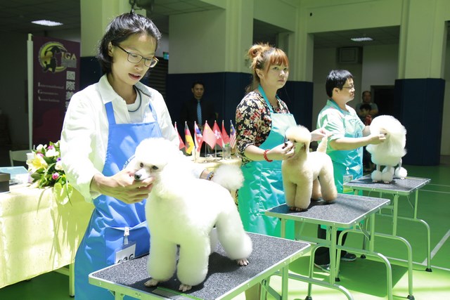 國際寵物美容師資格鑑定賽首次移師中華醫事科技大學舉行