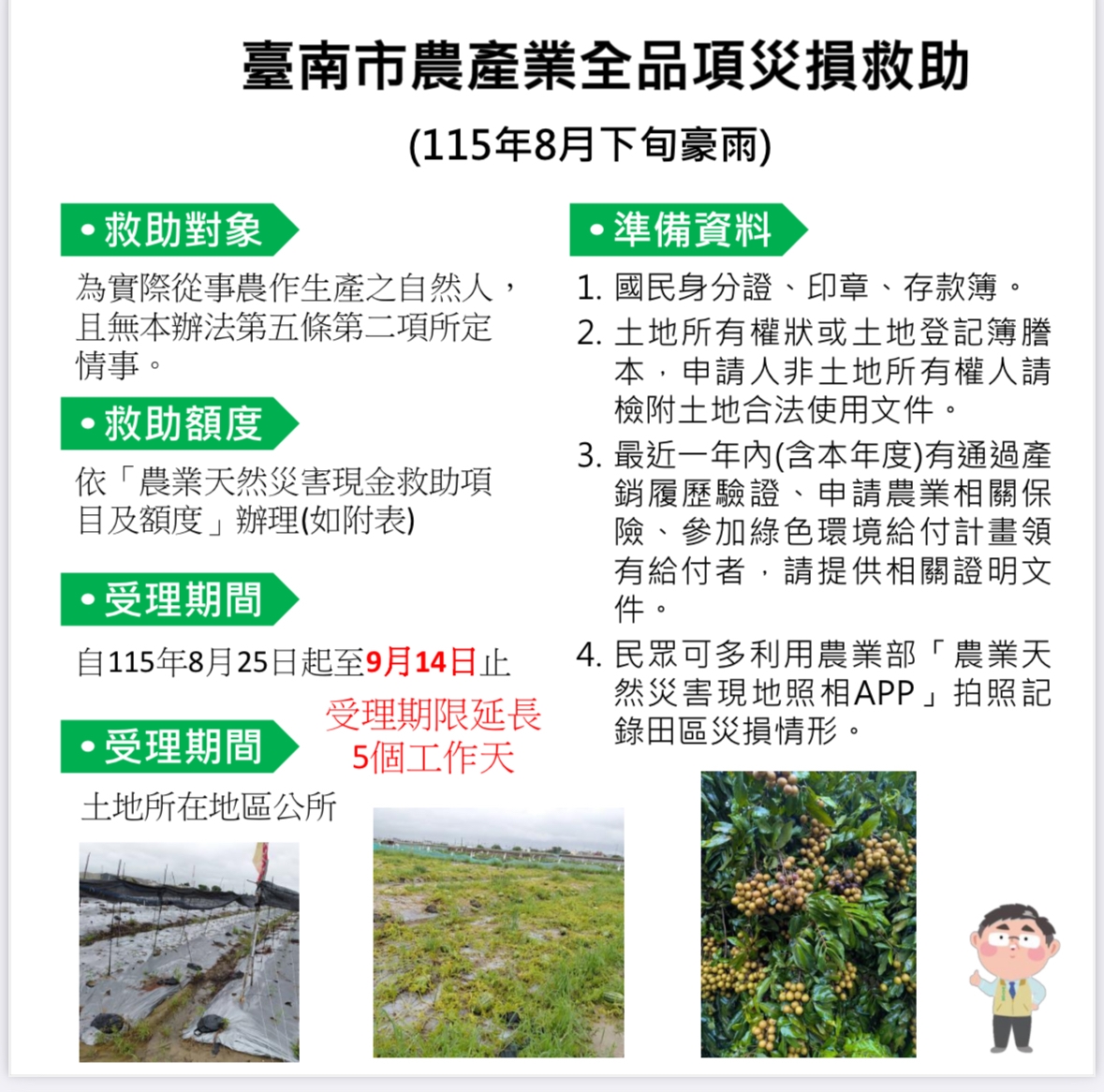 豪雨農損 廳府向中央爭取救助期限延長 助受災農民