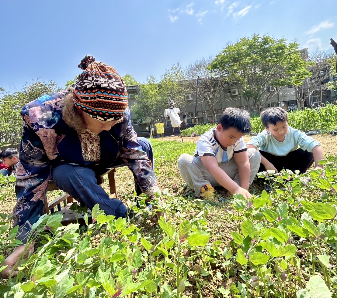 小米重回土地與餐桌，布農保種行動啟動村校共學