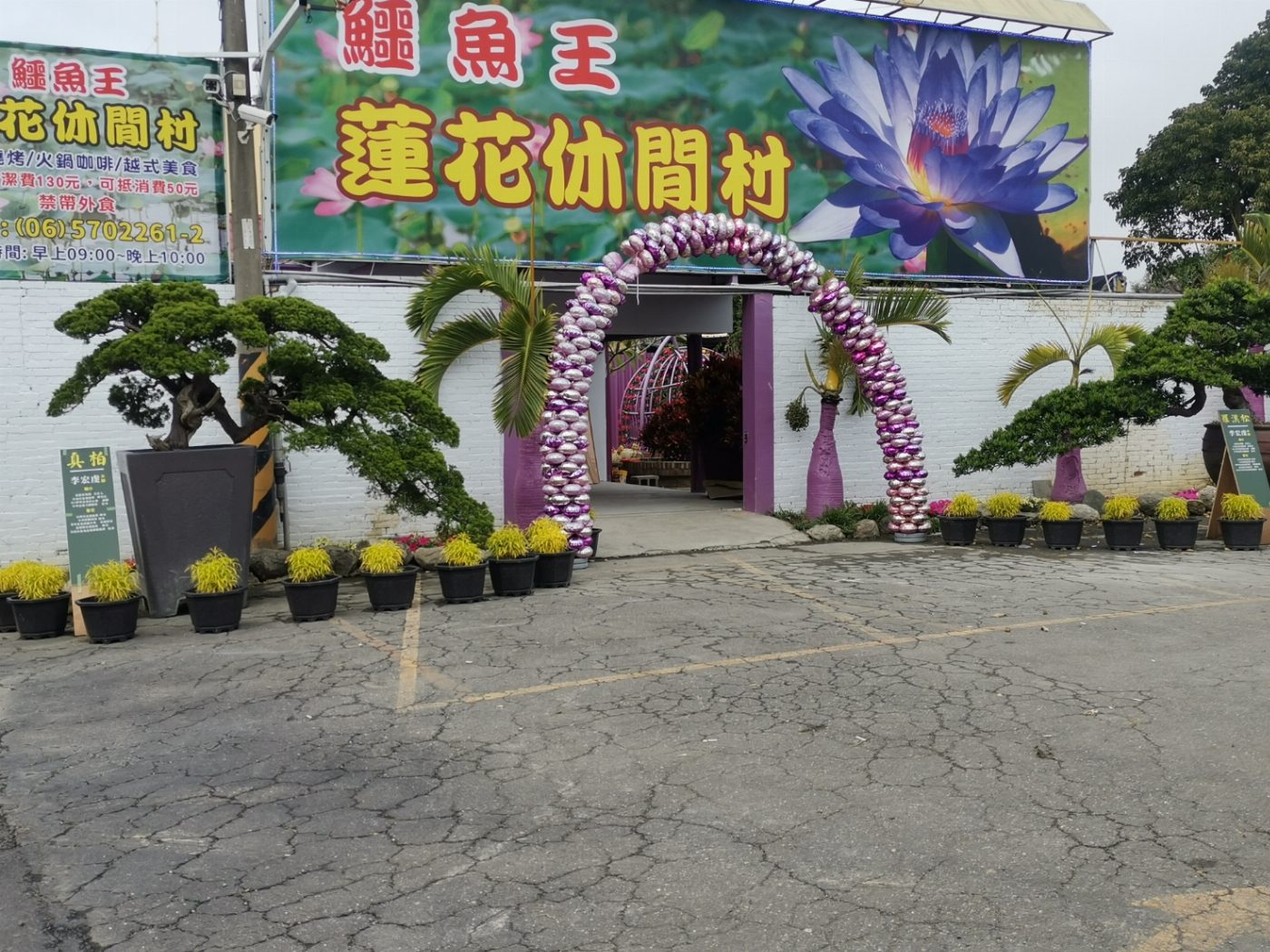 麻豆鱷魚王蛻變為鱷魚王蓮花休閒村 開幕迎賓