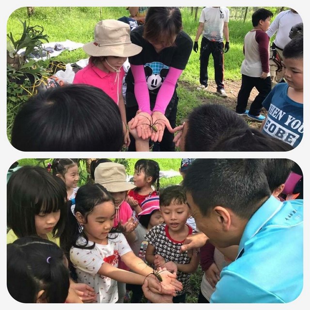 西拉雅小旅行系列新登場  小朋友來當樹攀走繩小泰山