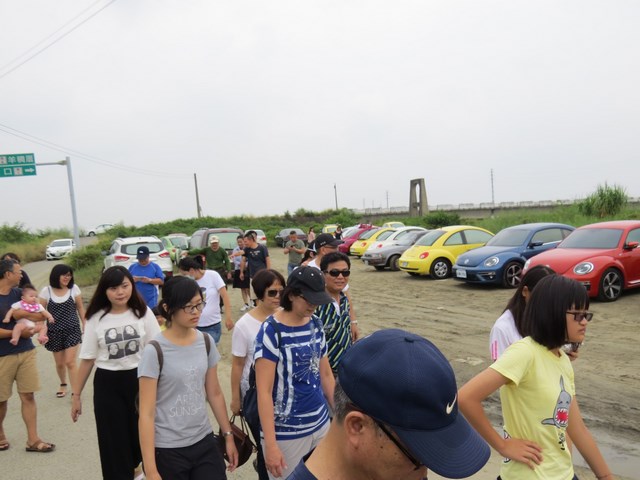 台灣區金龜車俱樂部五顏六色搶眼的金龜車訪視學甲濕地
