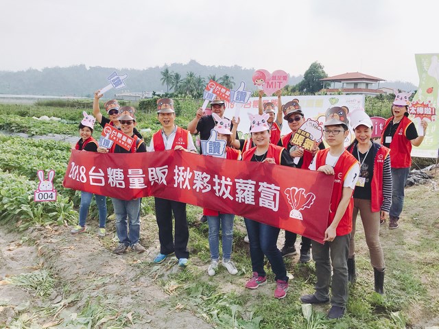 台糖量販會員田園樂  美濃白玉蘿蔔田好“採”頭