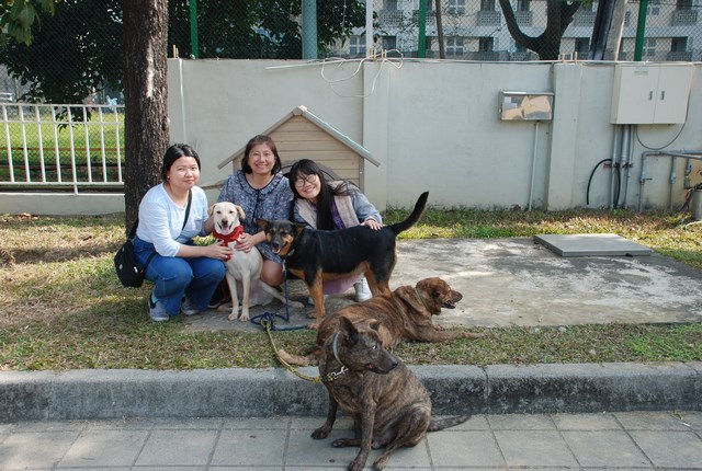 台南應大給校園流浪犬蓋新家
