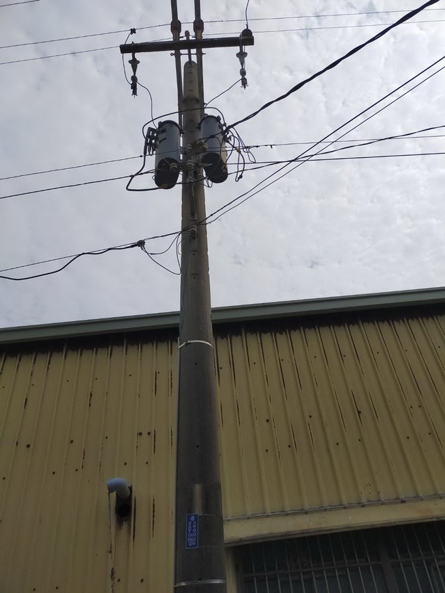 台南市北門區發現保育類環頸雉撞擊電桿死亡事件保育人士不捨