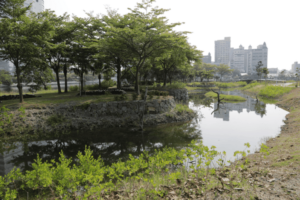 運河星鑽新亮點台南大涼生態公園今開放啟用