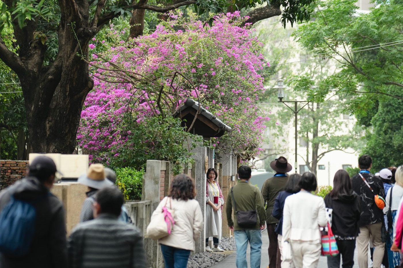 321巷藝術聚落即日起平日戶外午後開放 邀民眾漫遊古蹟綠意