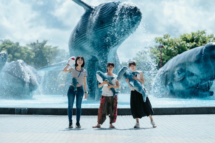 鯊魚透明卵鞘魅力爆棚！海生館「福爾摩鯊之旅」6/28登場 趣味心理測驗、線上回憶募集活動掀熱潮