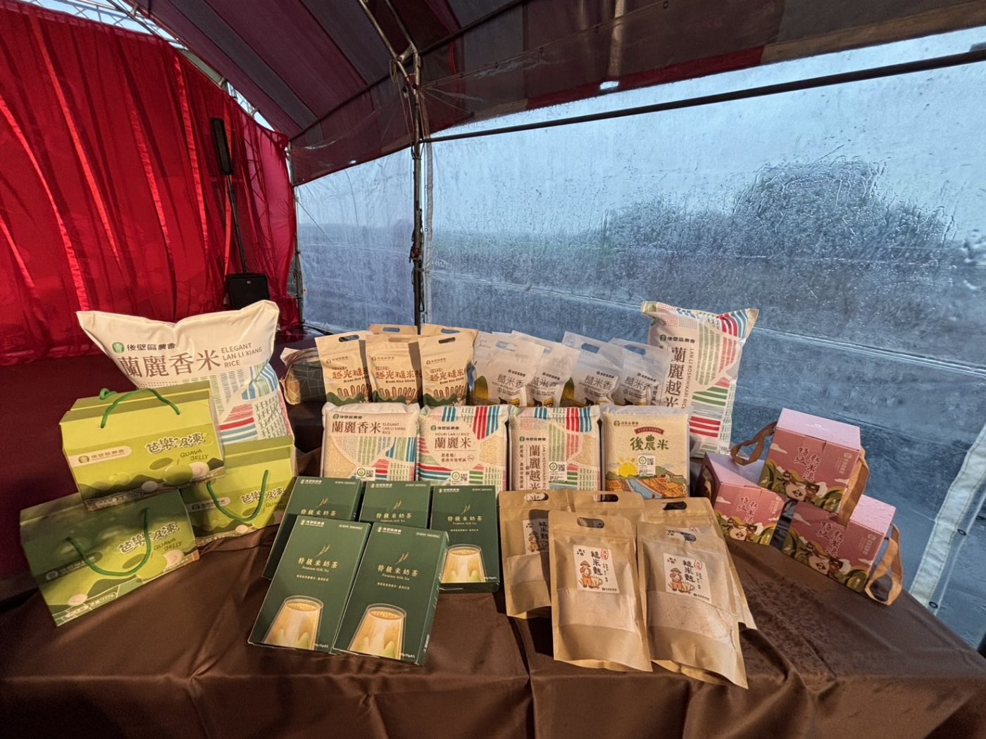 後壁菁寮再現臺南好米季 蘇醒宙帶領民眾插秧祈福
