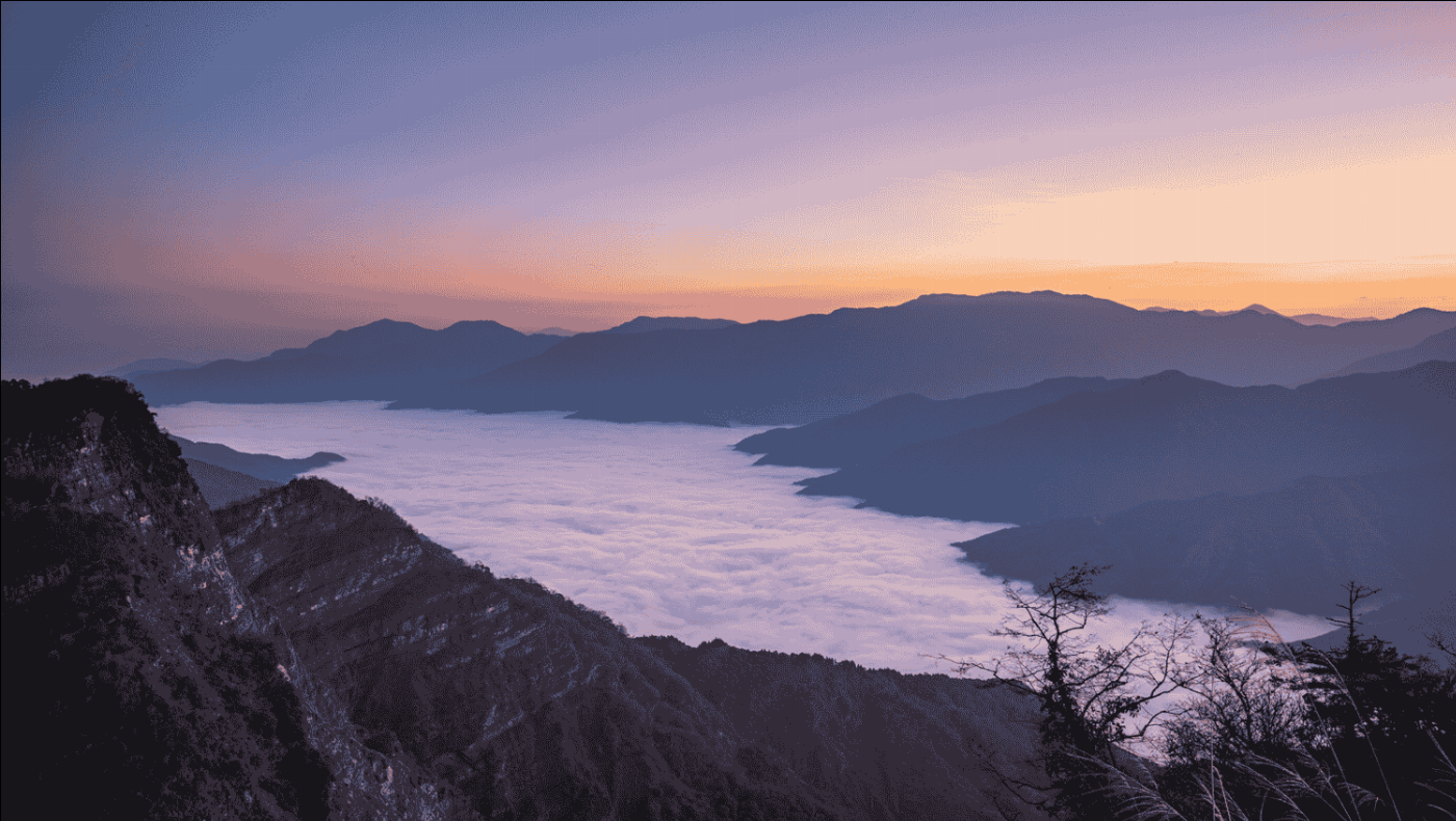 重磅喜訊 阿里山再登國際舞台，榮獲雙料大獎！