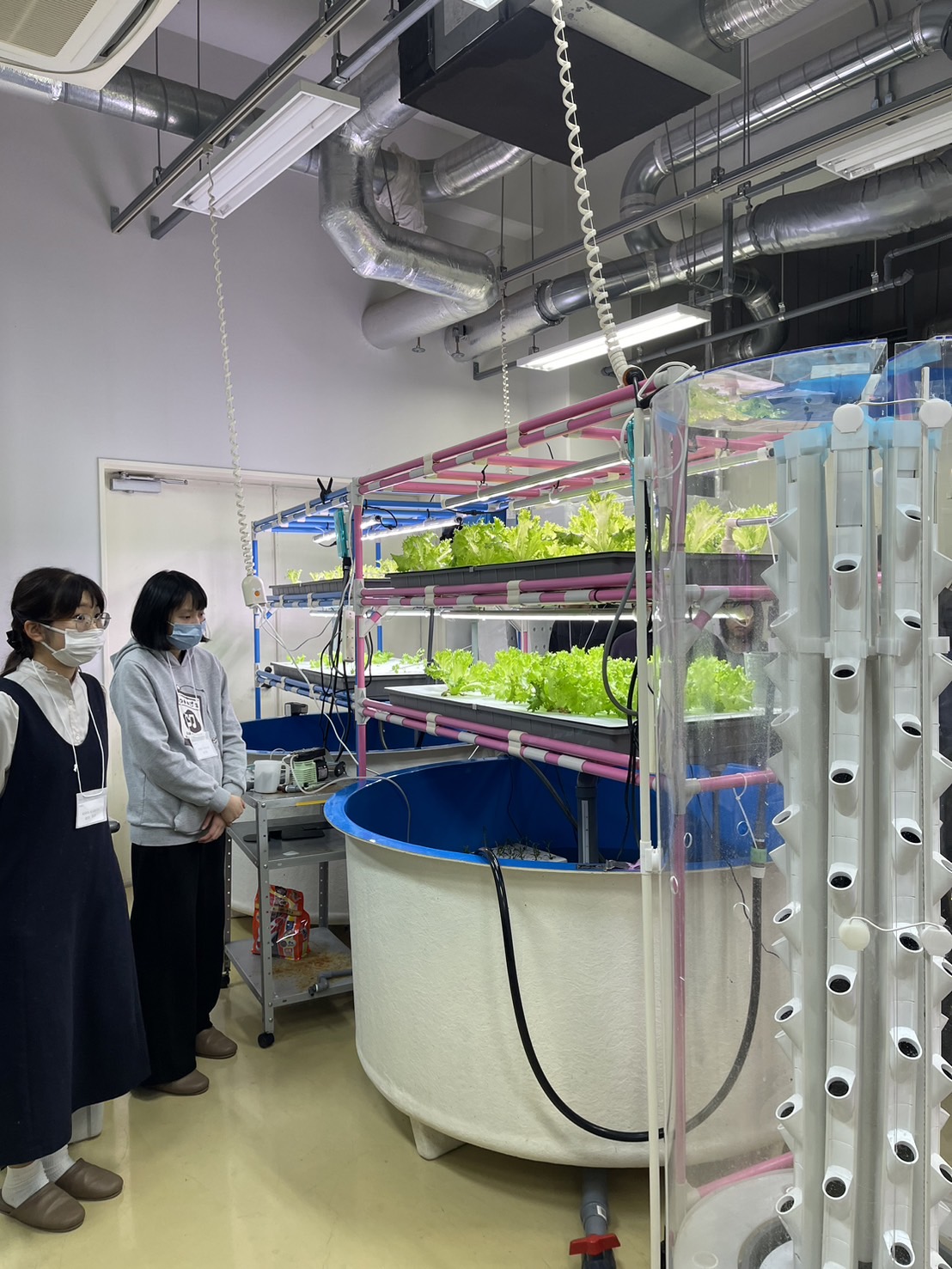 南大師生前往日本大阪公立大學參加SAKURA SCIENCE國際交流