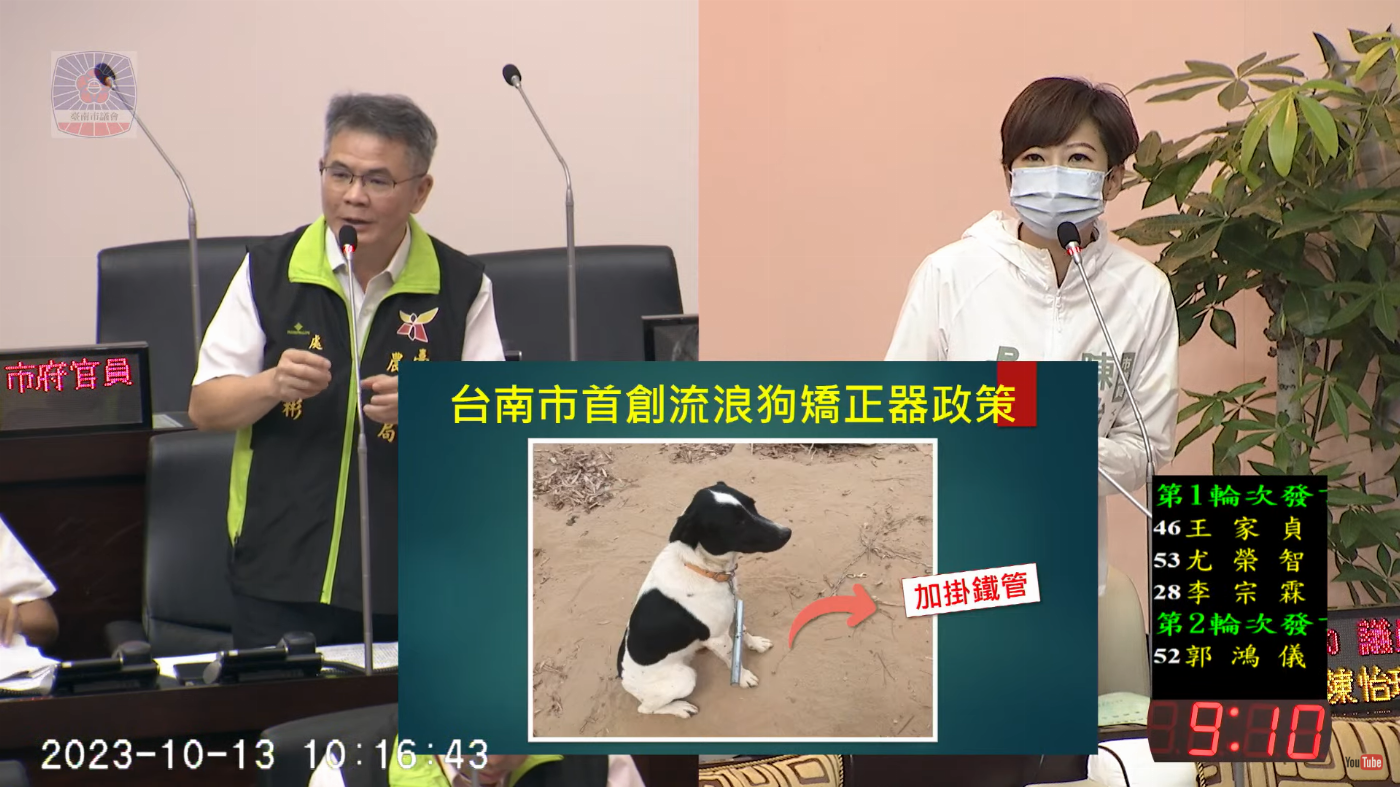 市議員陳怡珍檢討流浪狗加掛矯正器成效