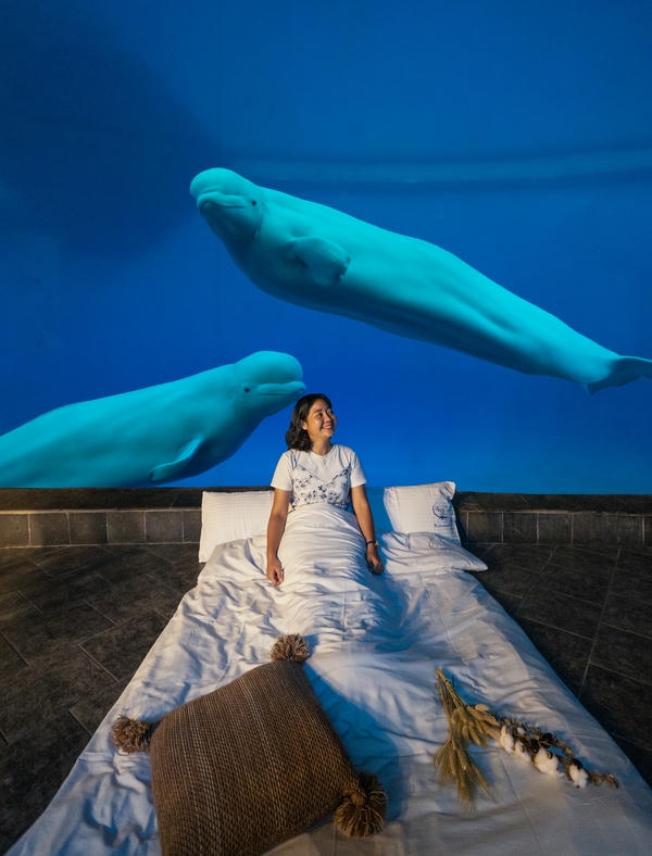 2025年夜宿海生館即日起開放報名 預約一場湛藍的美夢