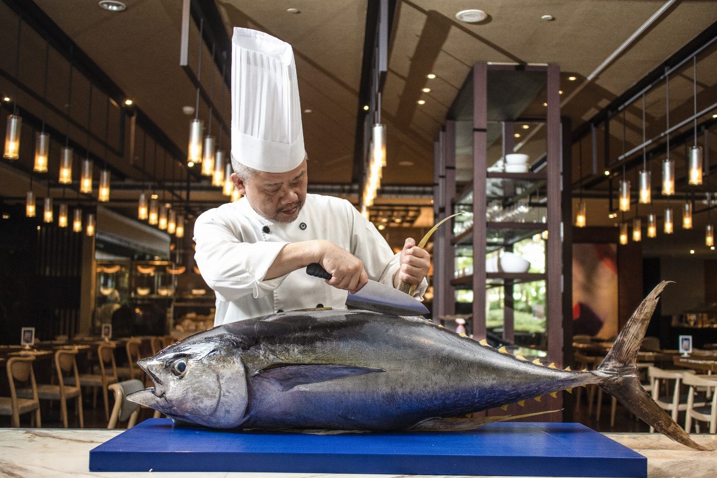 台南大員皇冠假日酒店 鮪魚季5/17搶鱻登場