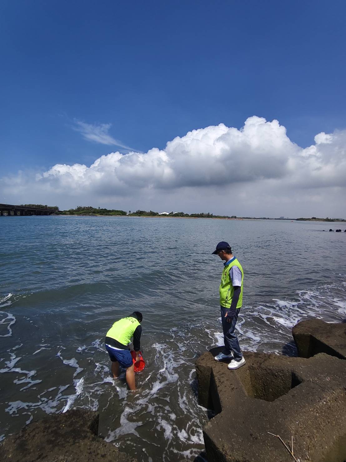 臺南市農業局大舉放流提升海洋生態系統豐富度與韌性