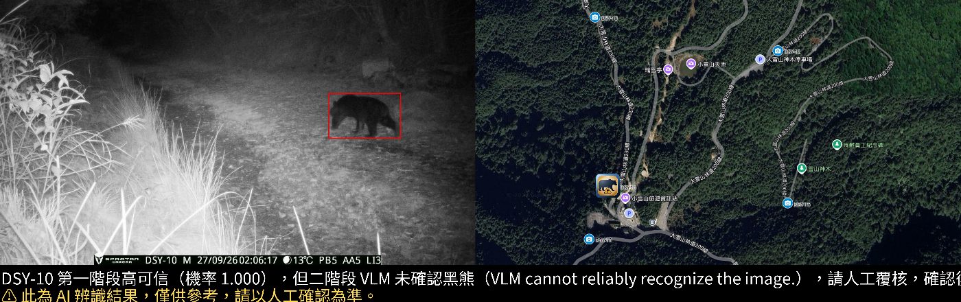 AI科技守護大雪山：黑熊近觀測點現蹤，遊客應落實人熊安全距離