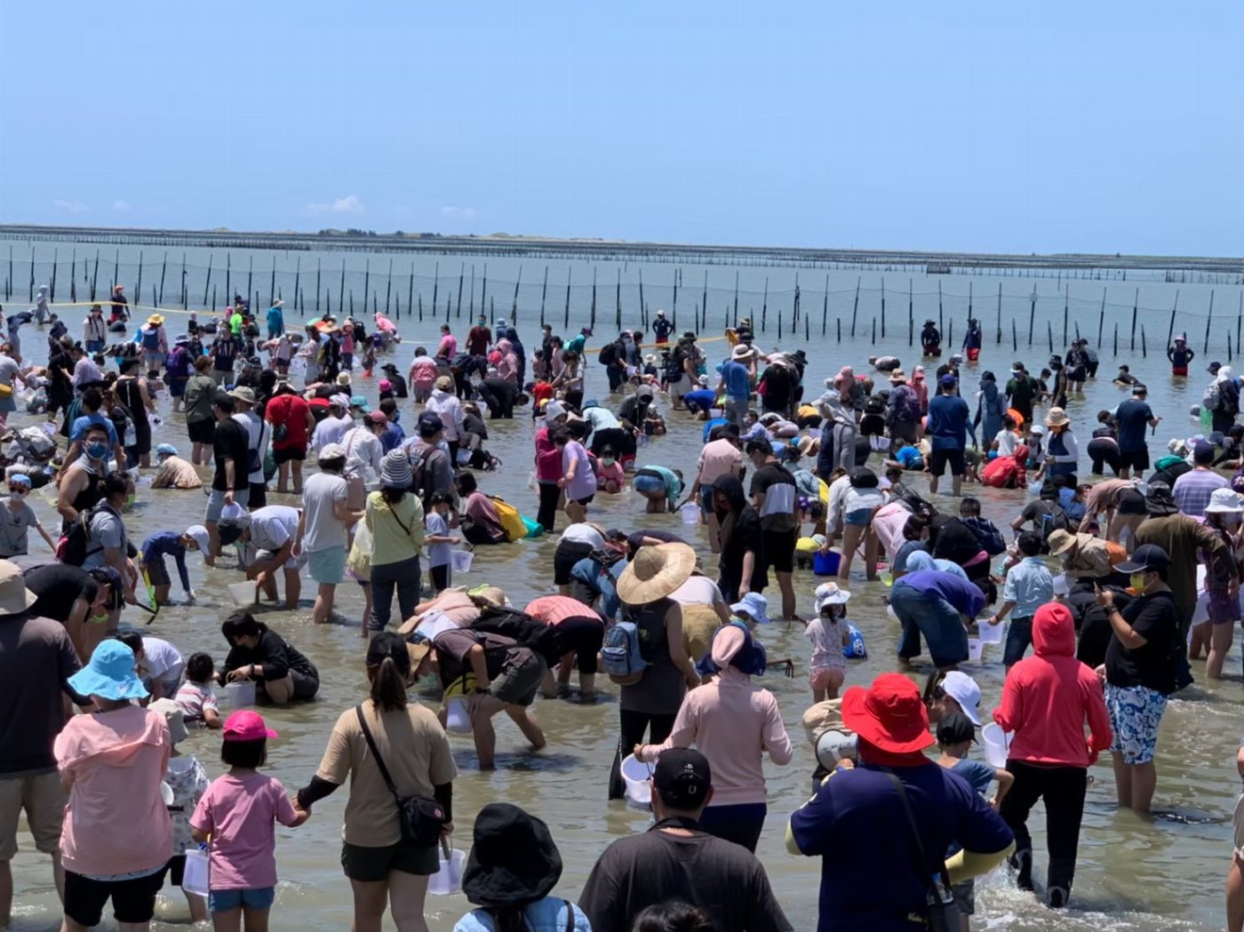 親子最愛的觀光赤嘴園挖文蛤體驗又來囉  9月1日上午9點開放線上報名