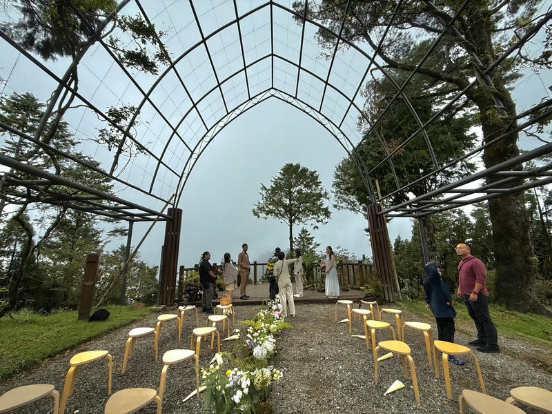 森林療癒、婚攝、婚證首選—阿里山植物園