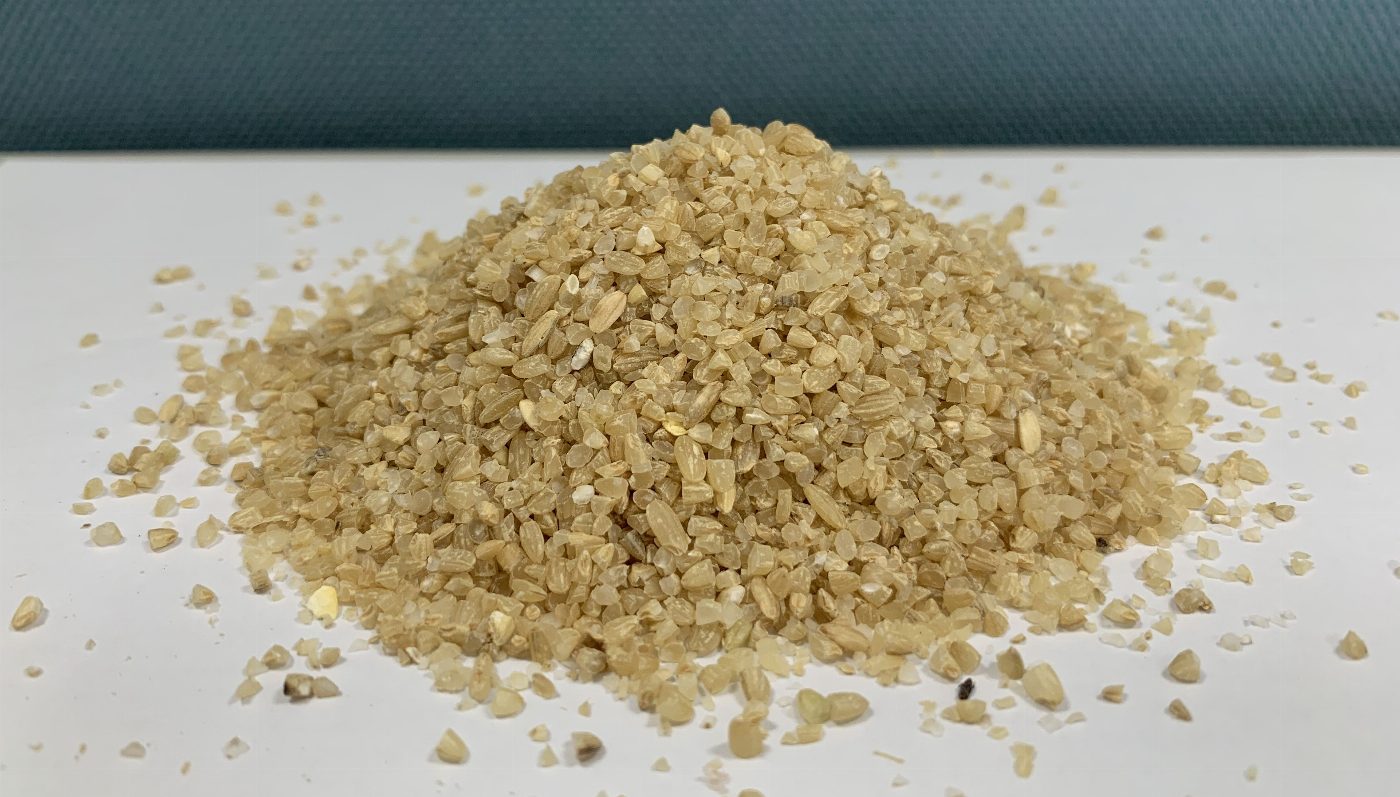 農委會畜試所研究新成果 - 飼料米可以部分替代價格高漲玉米