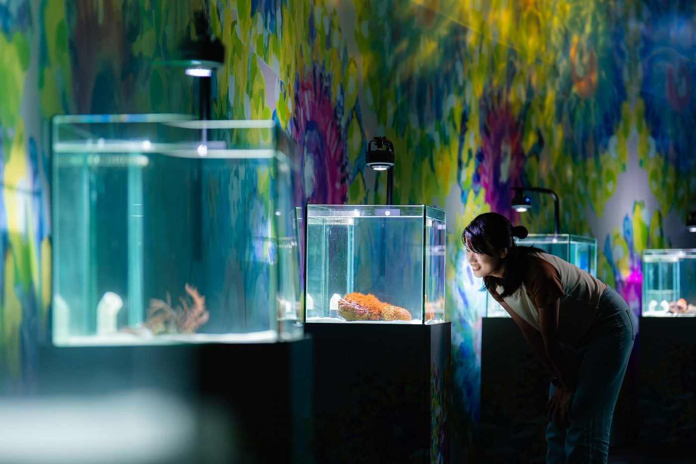 海底也能賞花！海生館暑假推「海洋花樣嘉年華」夢幻特展  夜宿海生館推不同玩法 暑期限定內容曝光