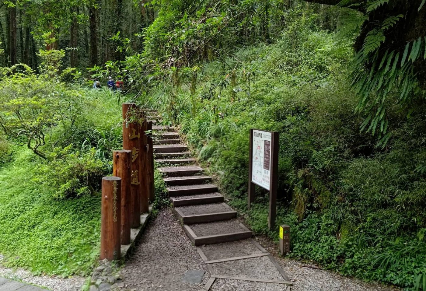 眠月線與塔山步道共線路段預計提前至9月1日開放通行