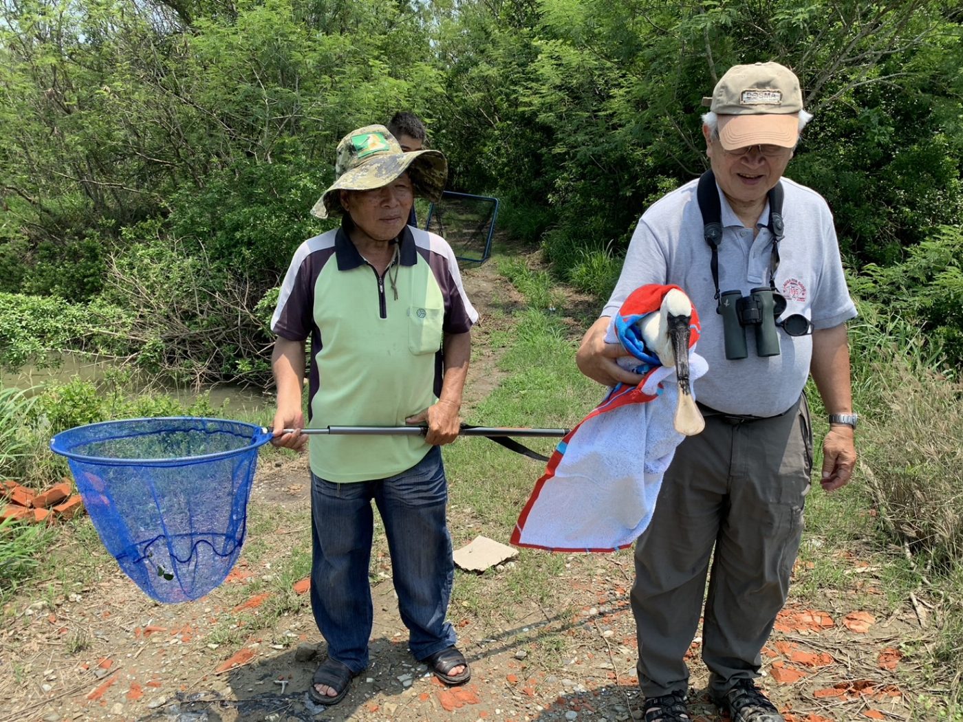 台南市生態保育學會等單位搶救一隻上嘴喙斷半的黑面琵鷺