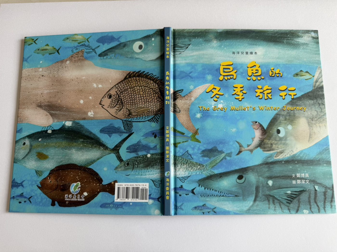 照2 照2