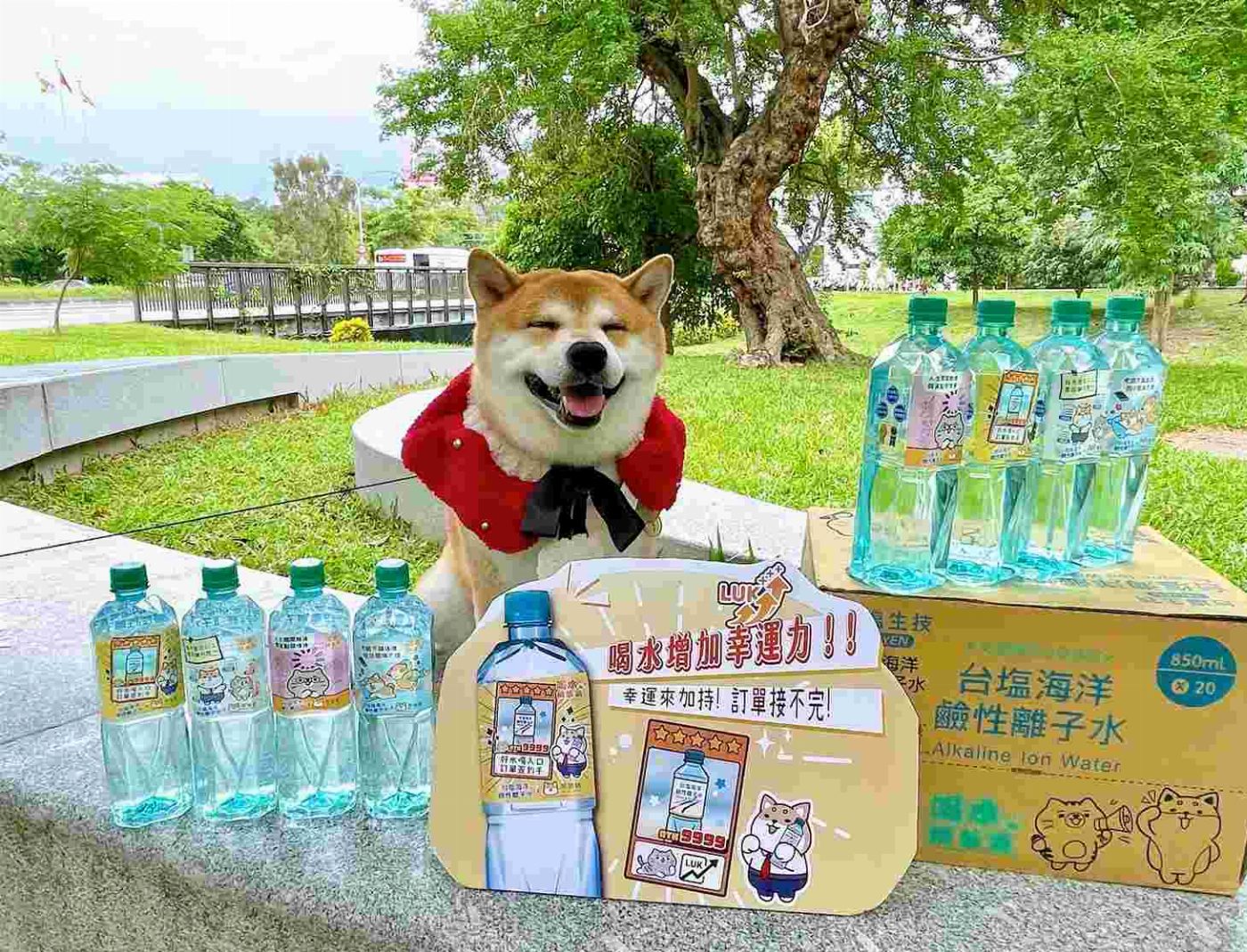 喝水補「柴」氣！台塩海洋鹼性離子水×柴語錄   最萌聯名 momo限量 獨家開賣