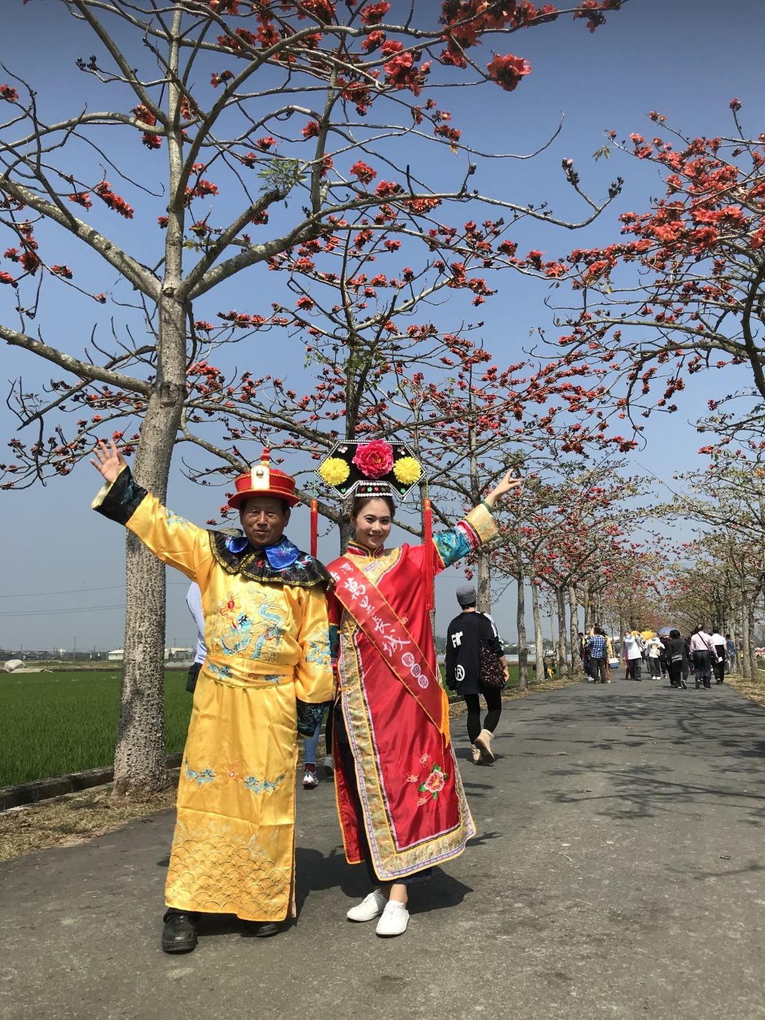 台南熱門景點白河木棉花盛開，順遊萬里長城玩變裝