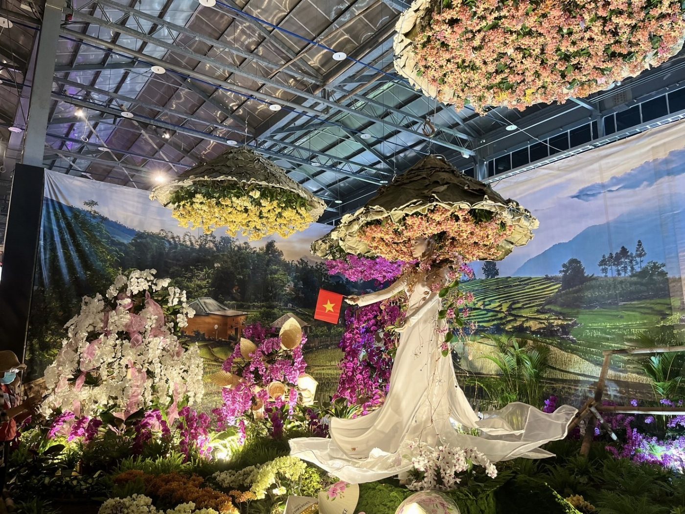 2025臺灣國際蘭展閉幕倒數 歡迎把握機會體驗國際級蘭花藝術饗宴   