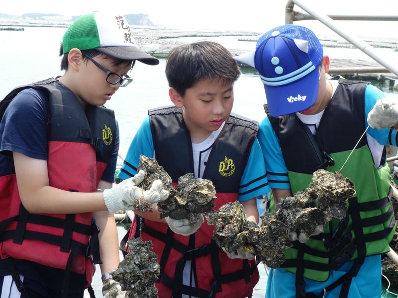 「蠔小子蚵南」-4/26到潟湖體驗一日蚵農