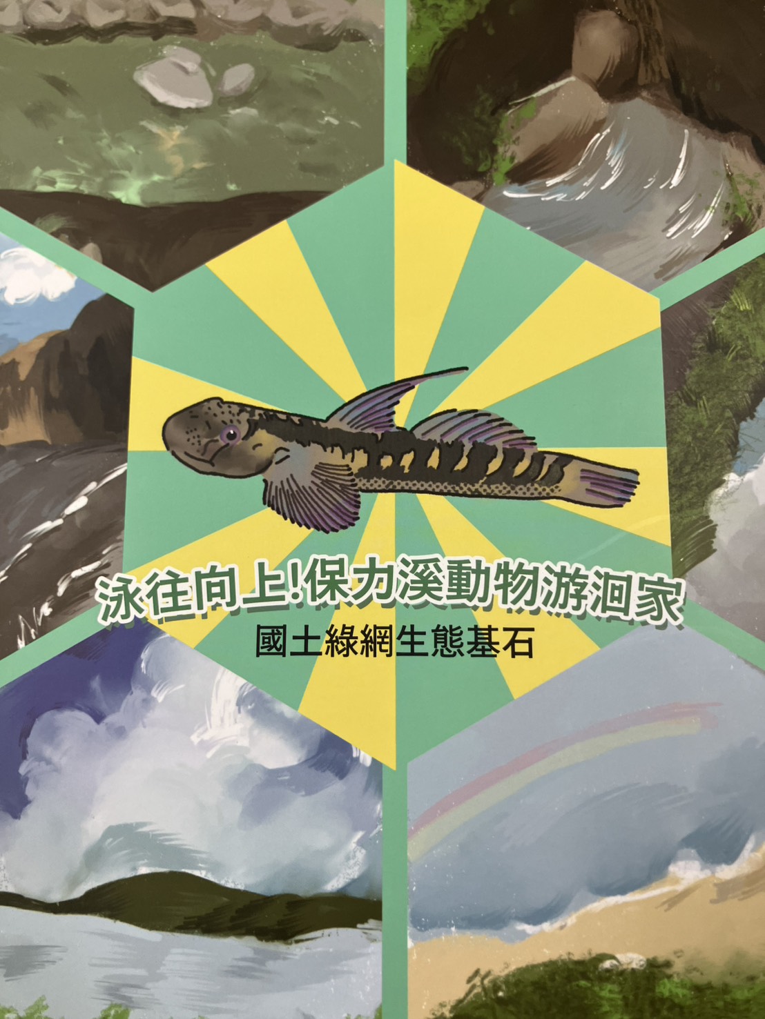 從溪水到書頁：保力溪的生命史詩，如何重塑親子共學的生態教育？
