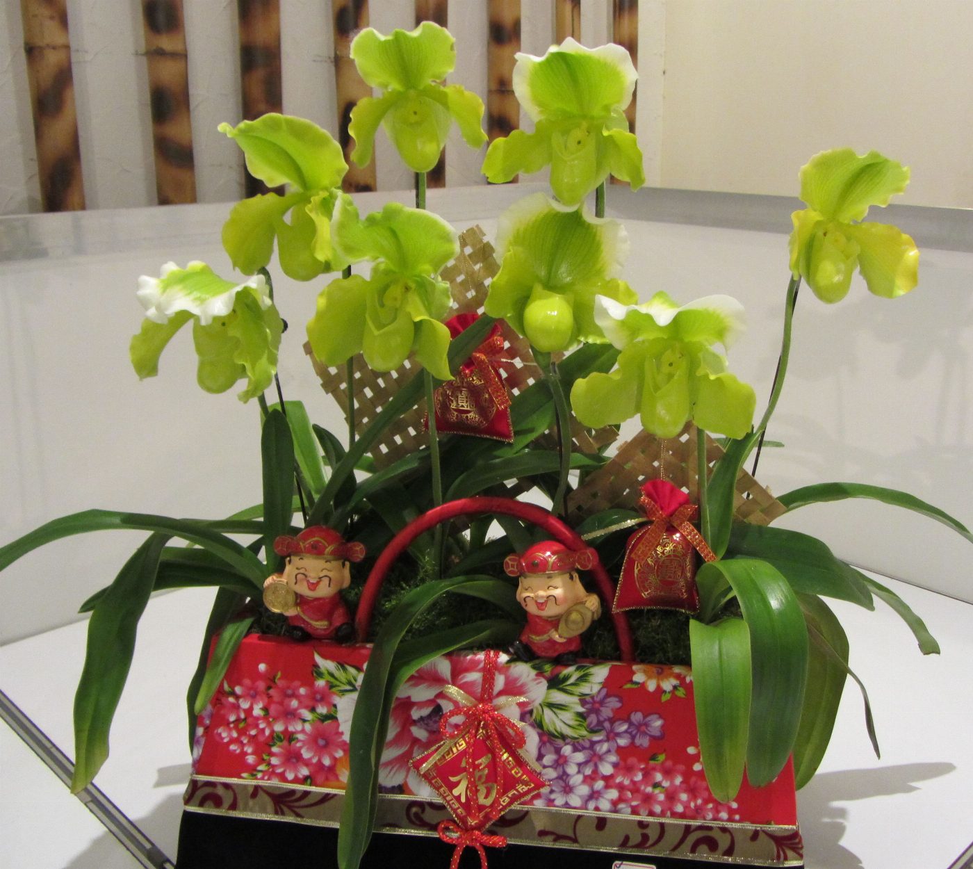仙蒂瑞拉的華麗邀約-仙履蘭熱閙上市