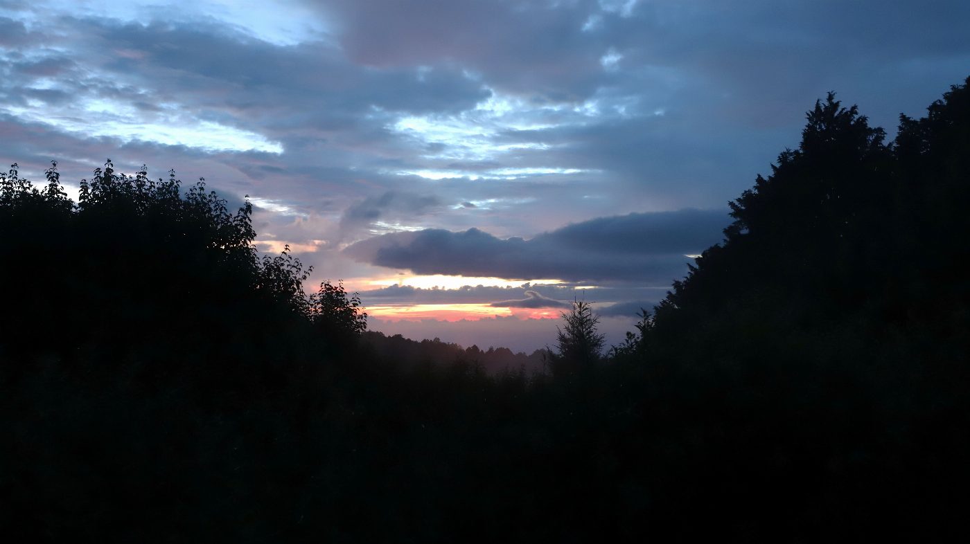 感受山林夜晚的靜謐氛圍