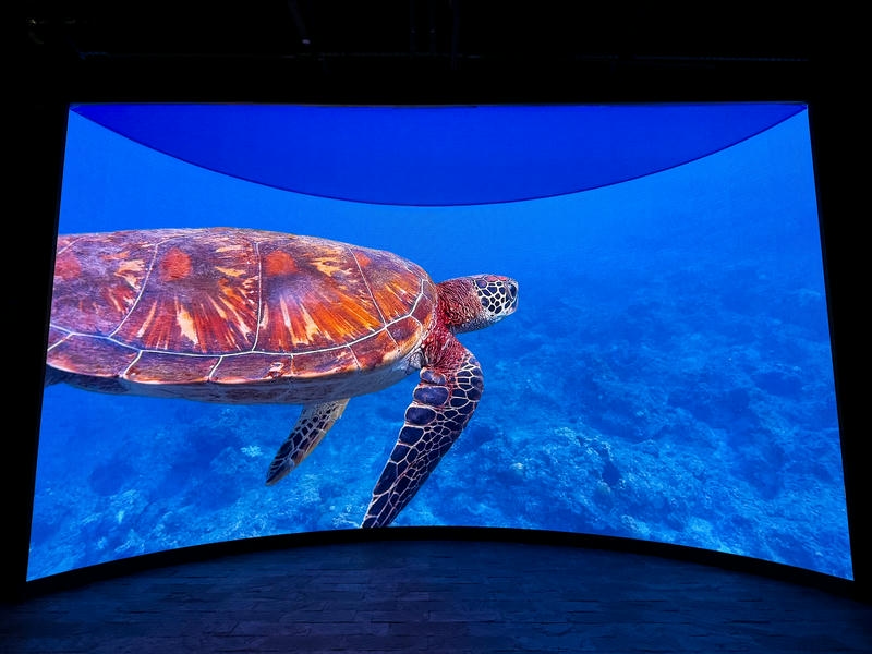 翻轉海洋視界！屏東海生館首創沉浸式弧形LED攝影棚震撼登場