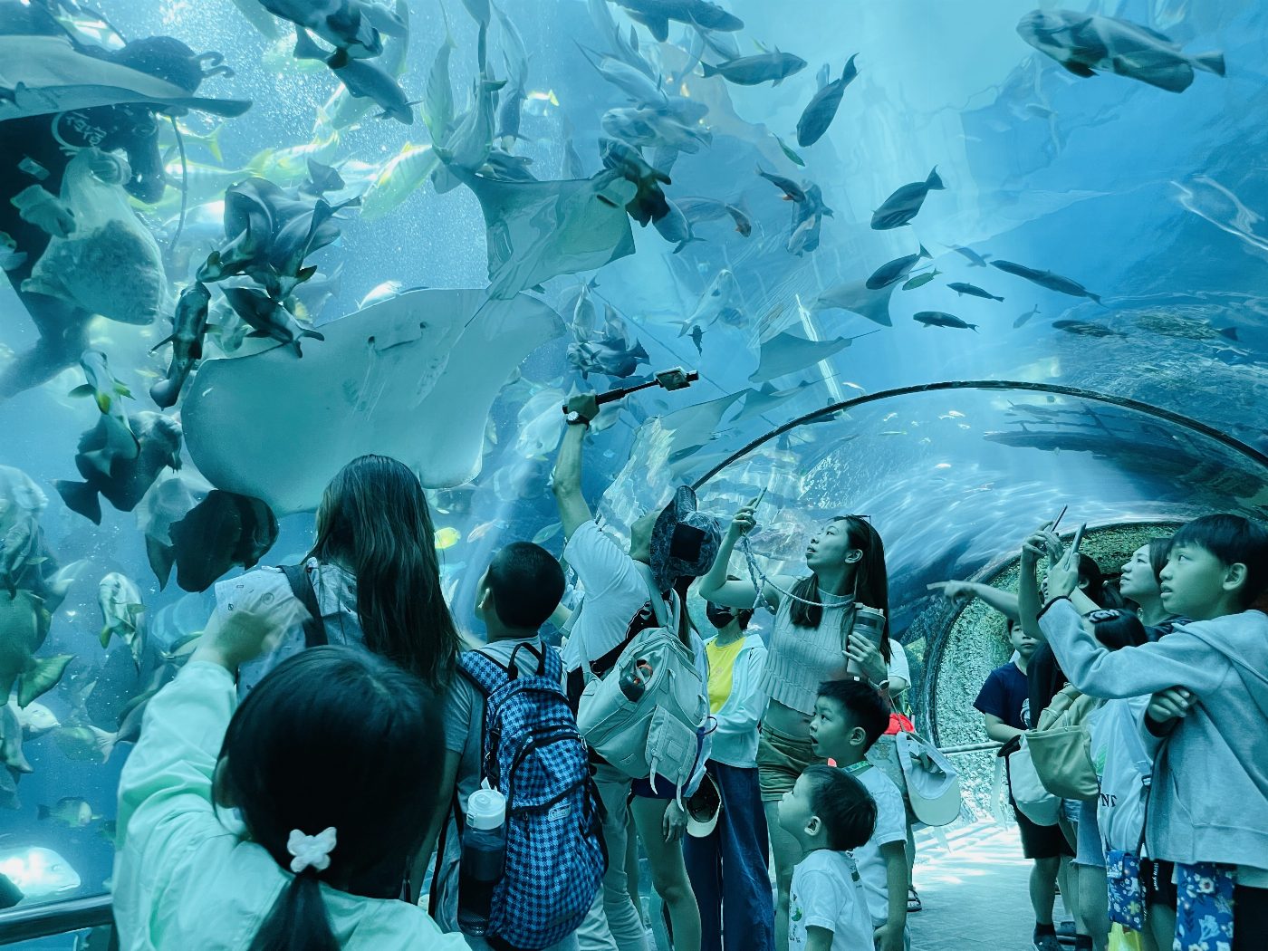 屏東海生館推出世界海洋日多元活動 端午連假吸引民眾熱烈響應 親子一起揮汗淨灘攜手闖關 認識海洋教育也增添寶貴回憶