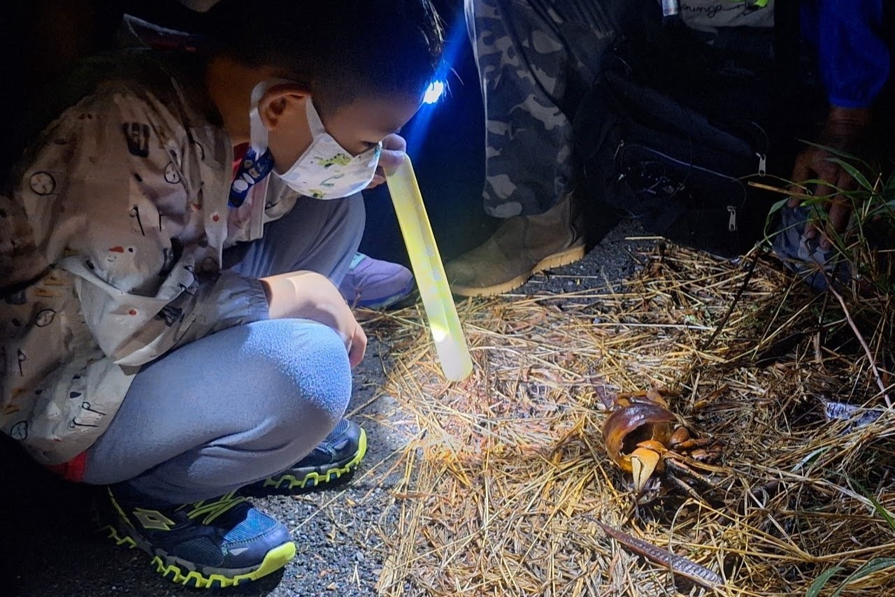 台南晶英今夏引領遊客探索自然野趣，搭龍海號遊七股、夜訪台江陸蟹生態