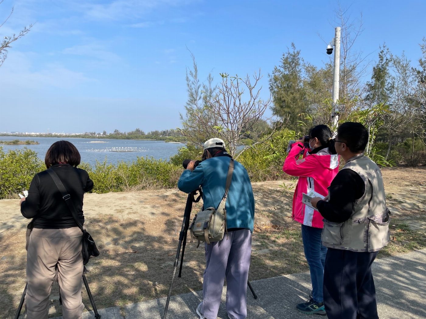 布袋候鳥季觀鳥小旅行回響熱烈!3/2還有賞鳥生活圈市集