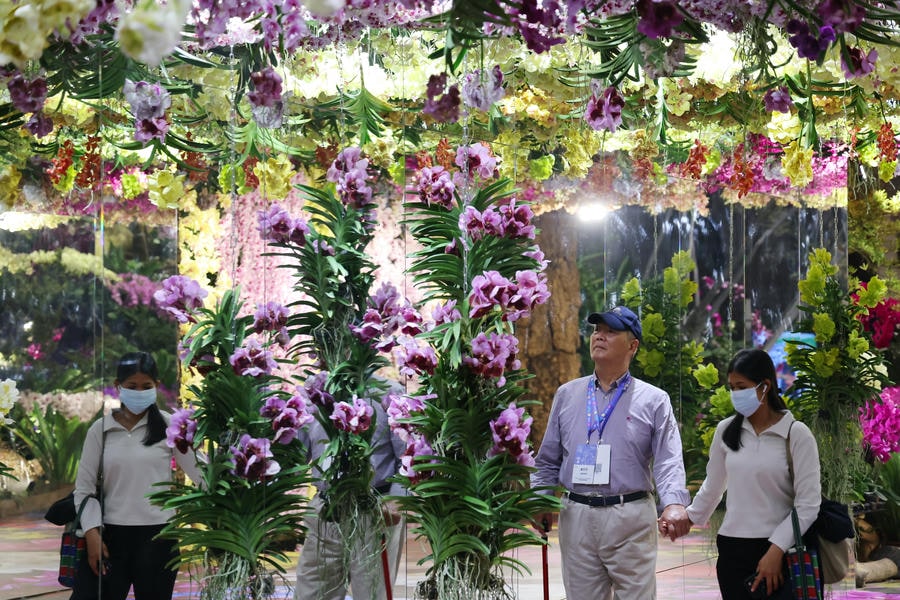 國際蘭展綻放館4亮點必逛！超夯蘭獸、蘭花密道、莫內噴蘭、鋼鐵蘭心揭臺灣災後生命進化旅程