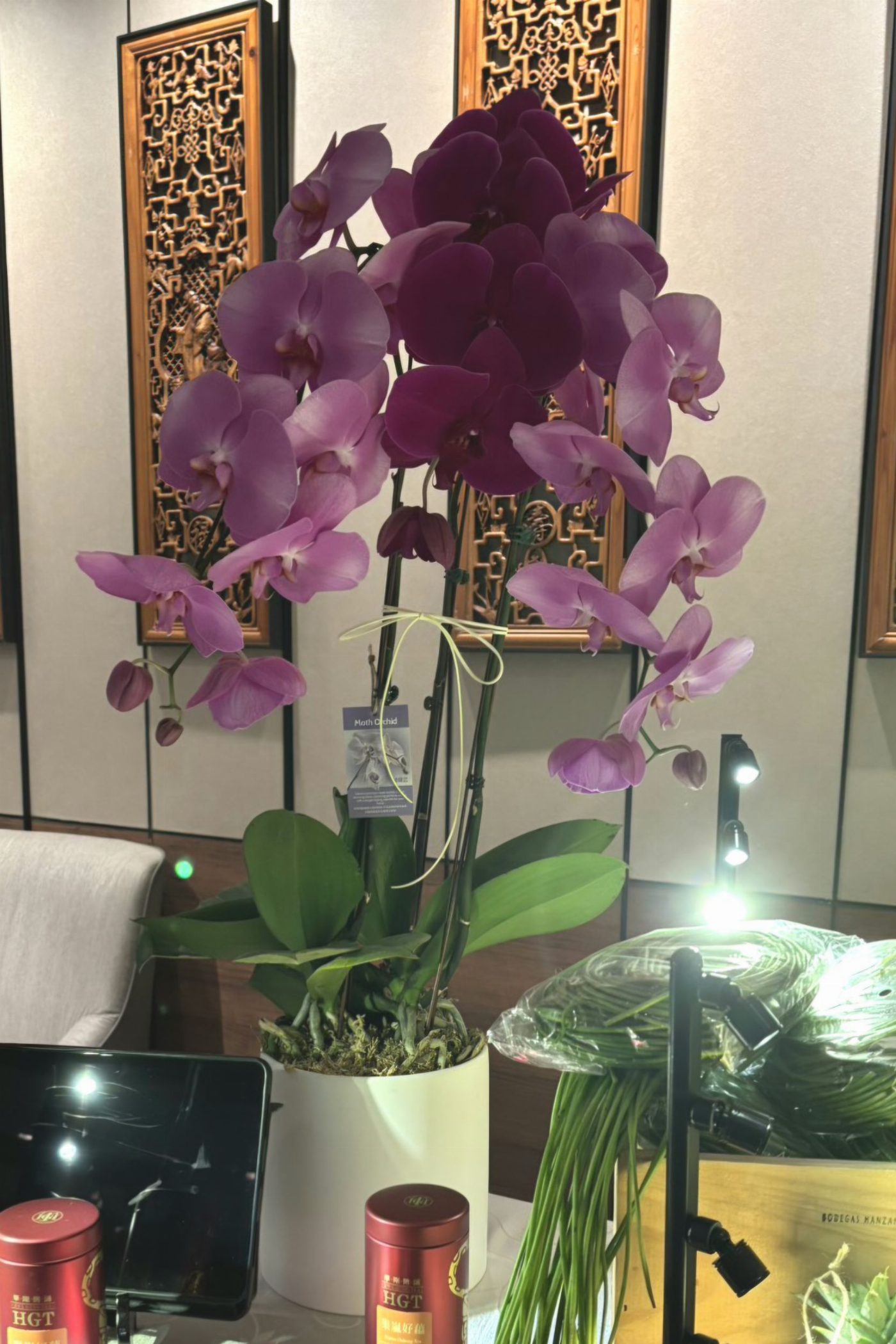 臺南優質農產前進新加坡  參與「臺灣蔬食國際美食節」拓展國際市場