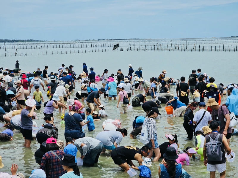 「2025臺南七股海鮮節」熱鬧開幕 2千人齊聚六孔碼頭同歡 因丹娜斯颱風影響 明(6)日七股海鮮節挖文蛤活動取消 敬請見諒